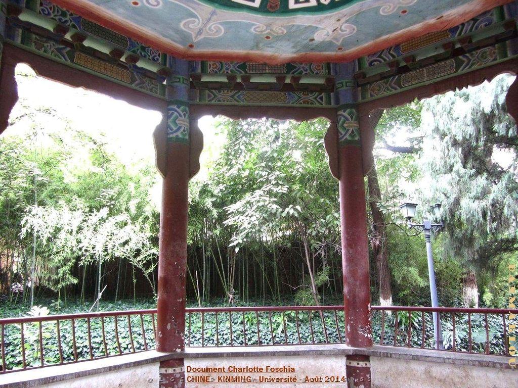 145- Charlotte - Kunming .JPG